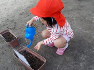 幼稚園の様子