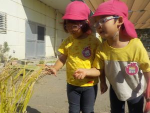 幼稚園の様子